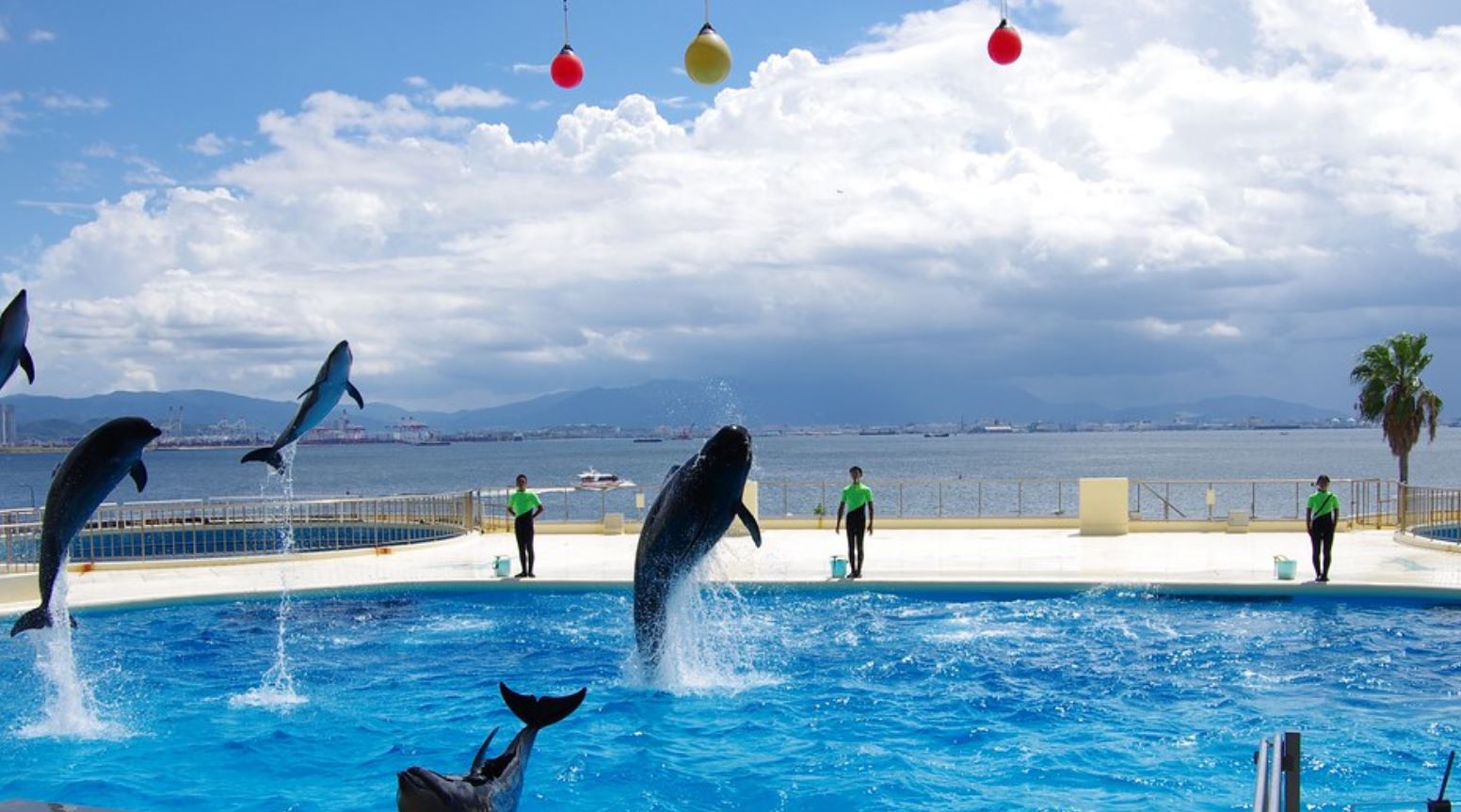 マリンワールド海の中道