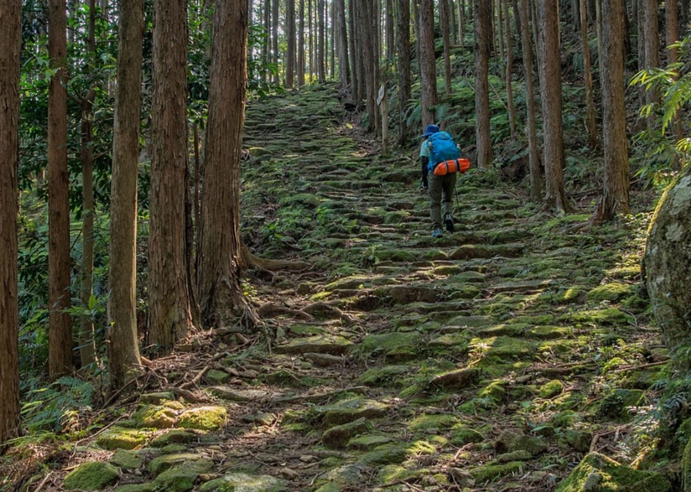 【トリバゴホテル予約 和歌山】 トリバゴのアプリで和歌山のホテルを予約！熊野古道の画像