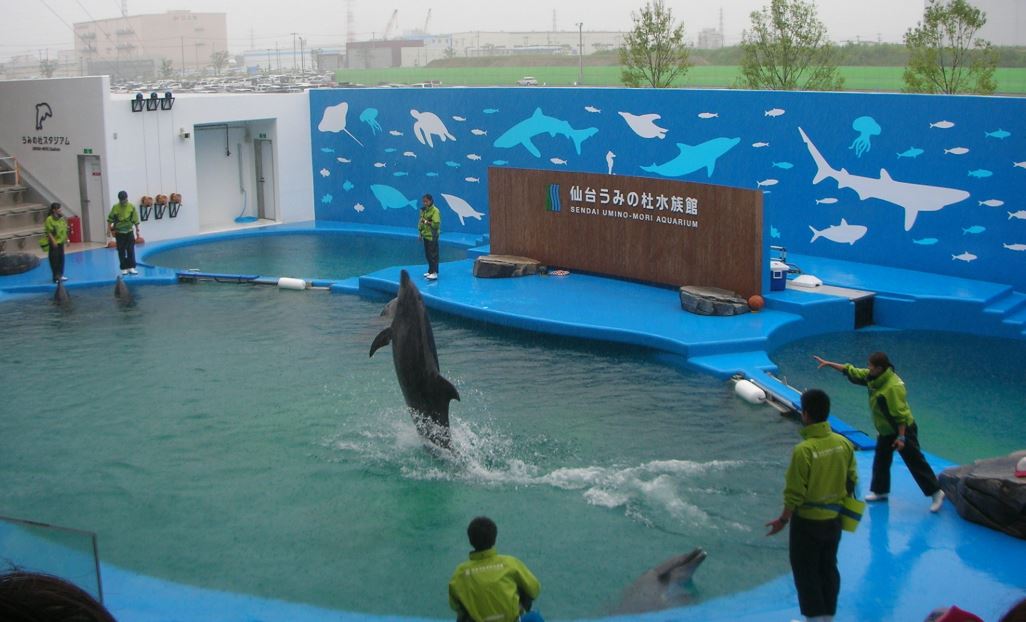 うみの杜水族館の画像